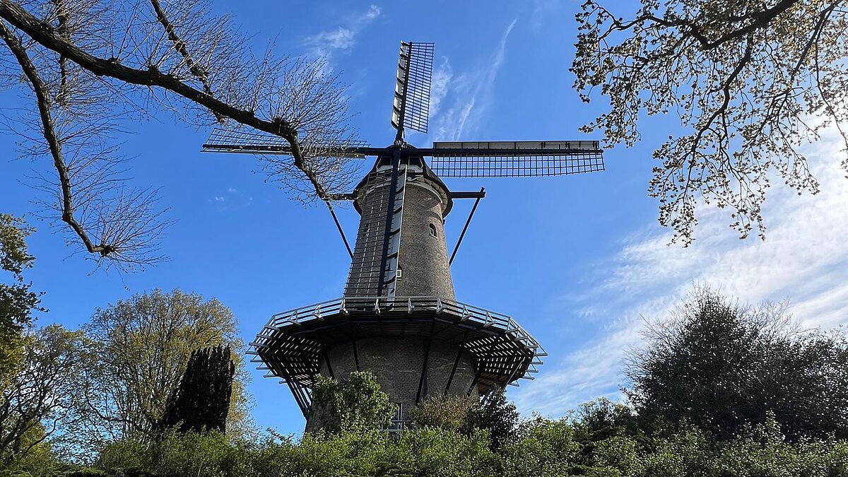 Ansicht einer niederländischen Windmühle mit einem klaren blauen Himmel im Hintergrund