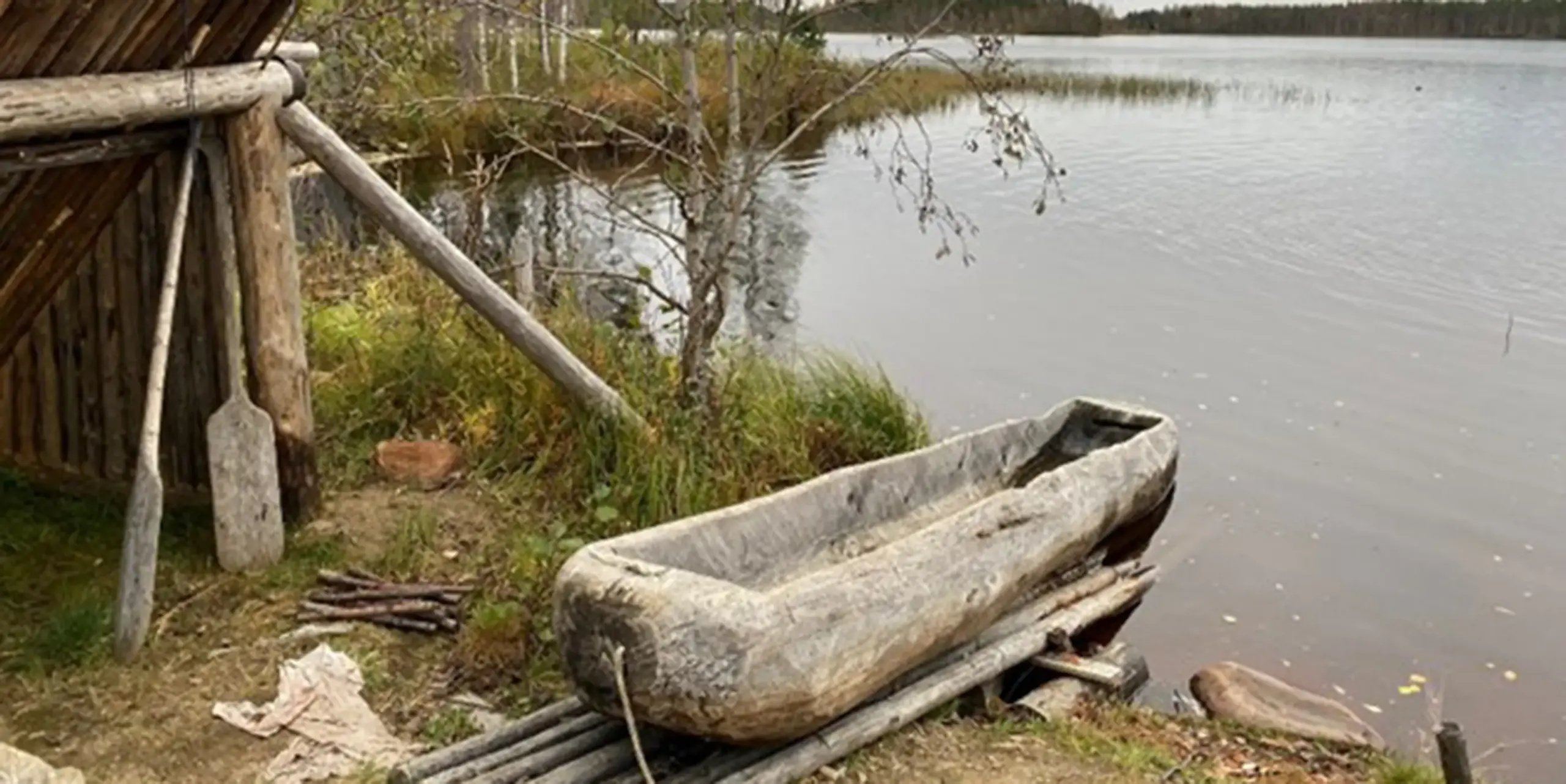 Ein ausgehöhltes Holzkanu ruht auf Baumstämmen an einem ruhigen See, neben einem rustikalen Holzunterstand und einigen Paddeln, mit Bäumen und Schilf entlang des Ufers im Hintergrund. EN