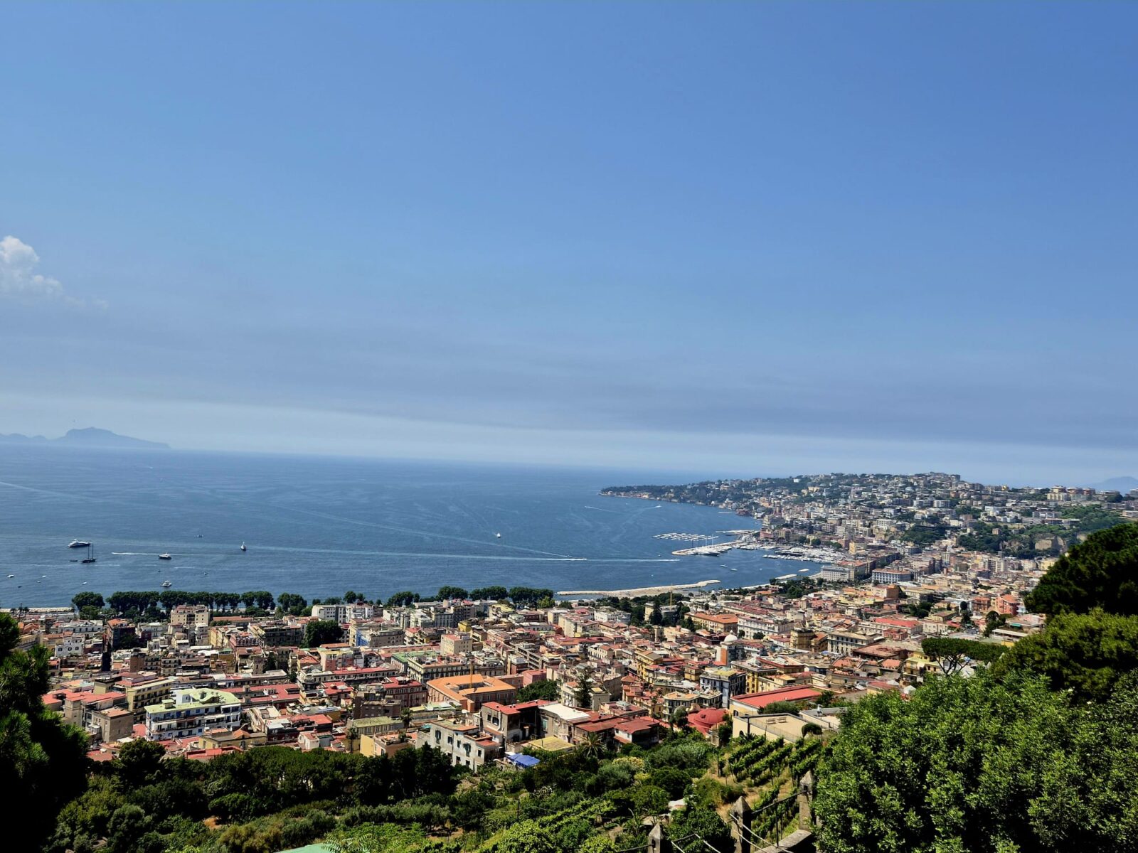 Una vista panoramica su una città costiera con edifici colorati, una vegetazione rigogliosa in primo piano e un mare calmo e blu che si estende fino all’orizzonte sotto un cielo limpido – come una scena tratta da un diario di viaggio sulla Finlandia. Sull'acqua si vedono alcune barche.