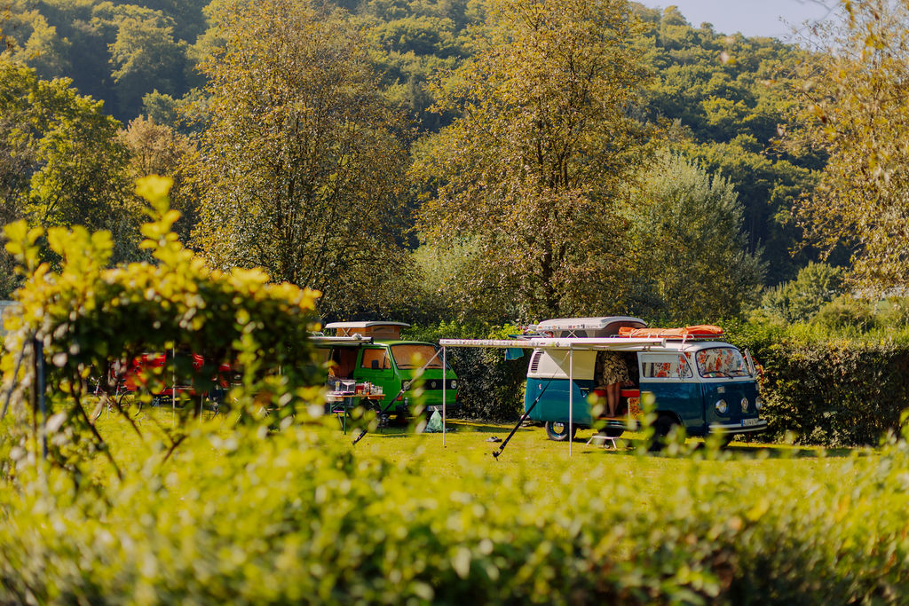 Oldtimer-Wohnmobile, die auf einer Wiese mit Bäumen und Hügeln im Hintergrund unter strahlend blauem Himmel geparkt sind – diese Szene aus der „Campingplatzvorstellung“ zeigt Campingausrüstung, die neben den Wohnmobilen aufgebaut ist, und schafft so eine entspannte Atmosphäre im Freien.