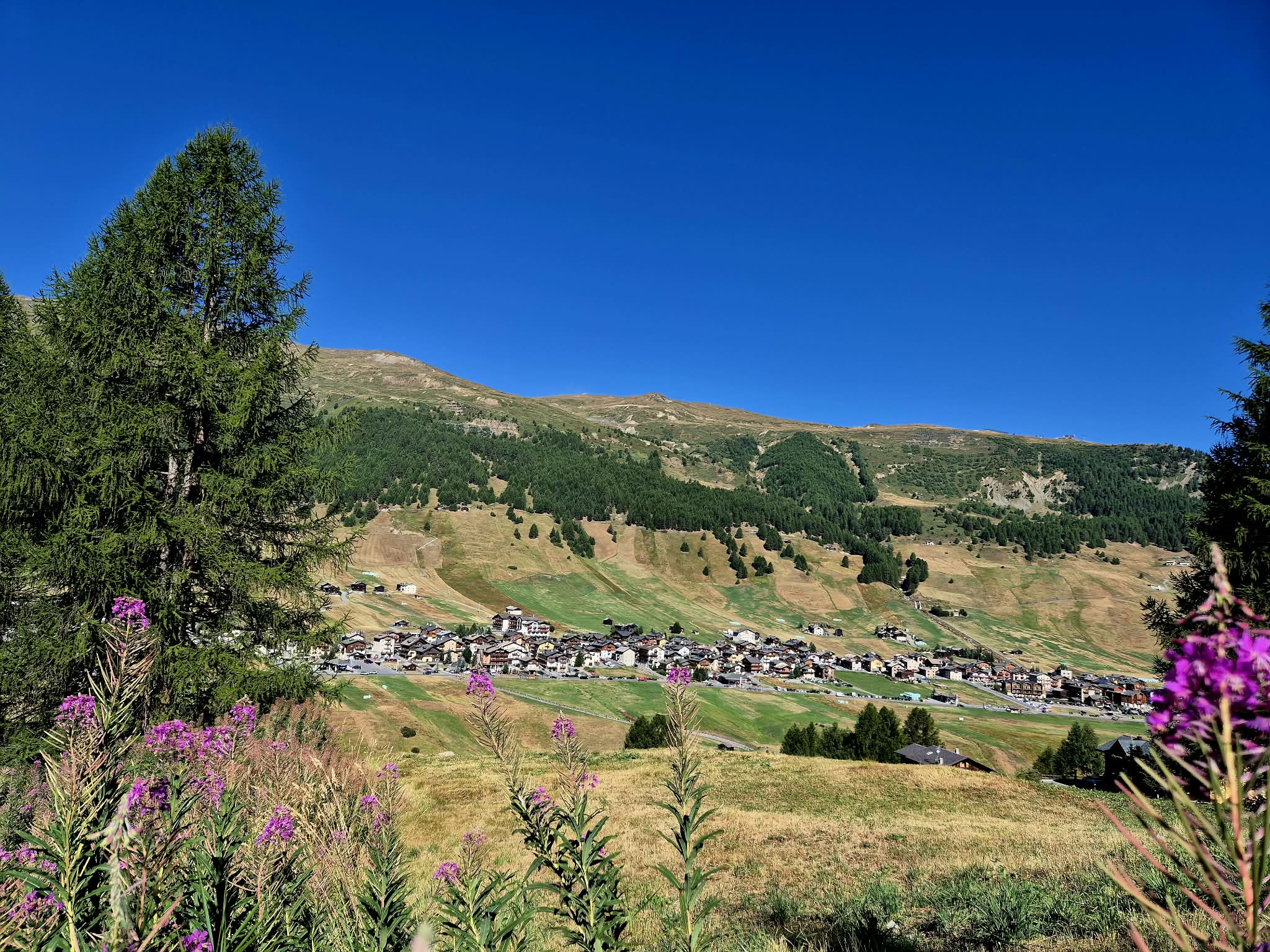 Am Fuße grüner Hügel unter einem strahlend blauen Himmel liegt eine kleine Stadt, im Vordergrund violette Wildblumen und Bäume – eine Szenerie, die an die Beschreibungen in einem Reisebericht über Neapel erinnert.